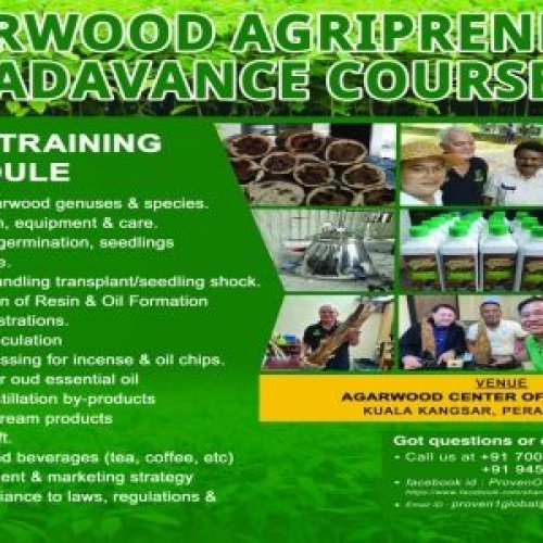 Agarwood Training Service