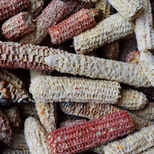 A Grade Dry Corn Cobs