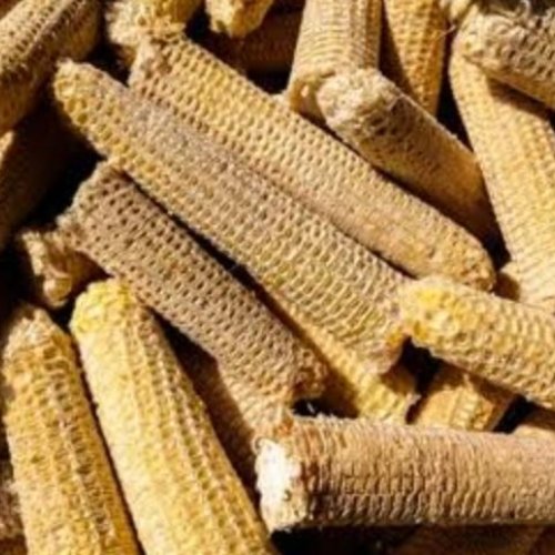 A Grade White Bare Corn COB