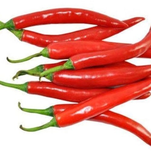 Fresh Red Chilli