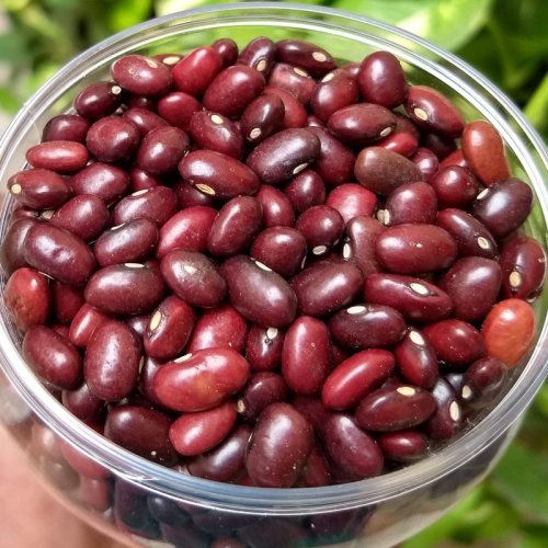 Red Kidney Beans