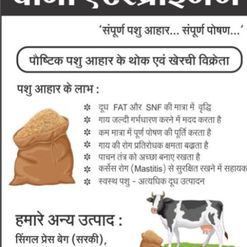 Avni Pashu Aahar Cattle Feed