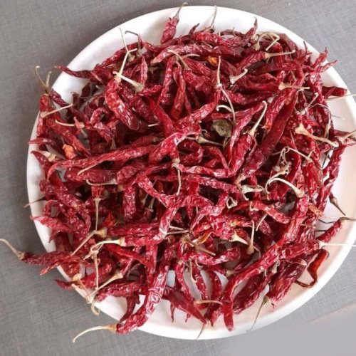 Syngenta Dry Byadgi Red Chilli