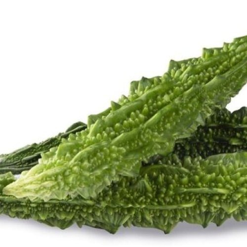 Fresh Bitter Gourd