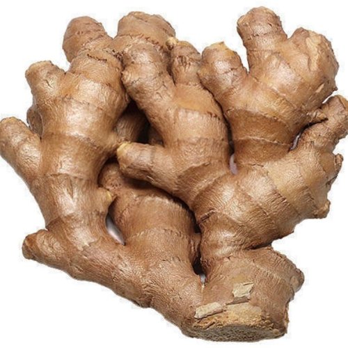 Fresh Ginger Root