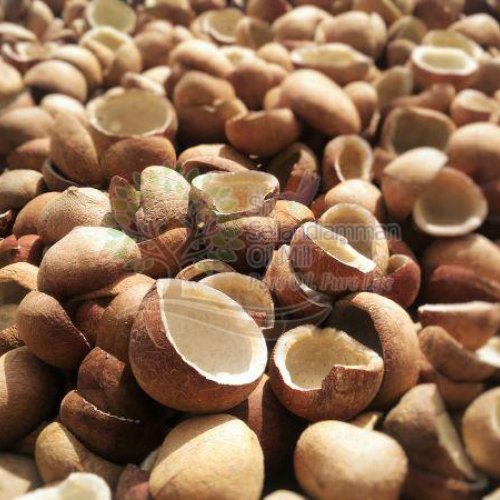 Dried Coconut Copra