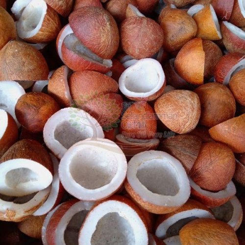 Half Cut Coconut Copra
