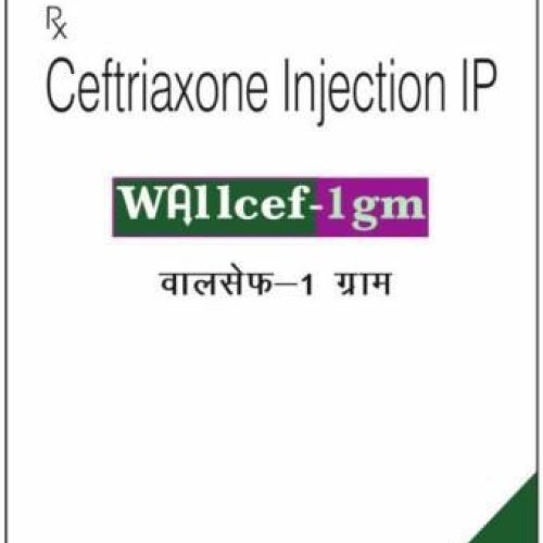 Wallcef 1Gm Injection