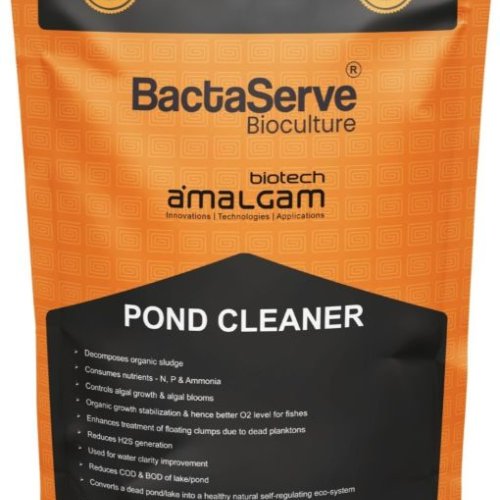 Bactaserve Shrimp Aquaculture