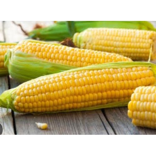 Sweet Corns