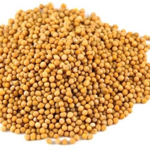 Yellow Mustard Seed