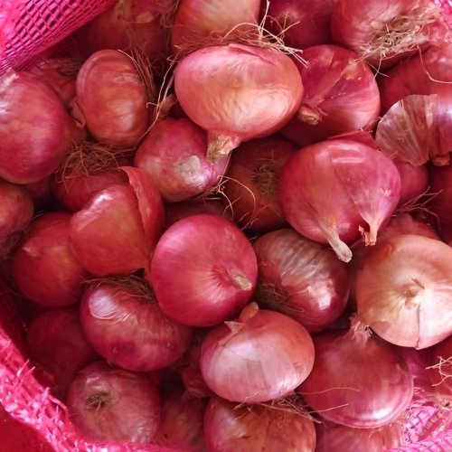 A Grade Pink Onion