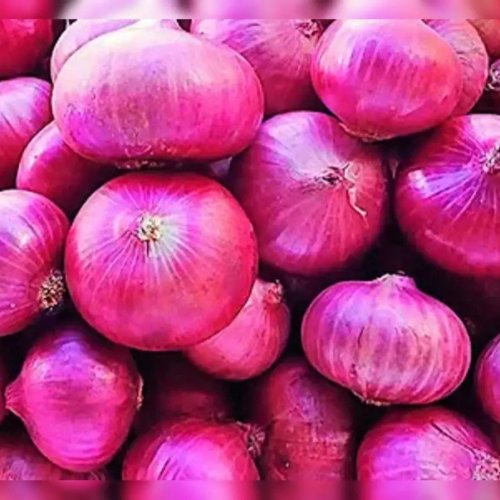 Organic Garwa Pink Onion