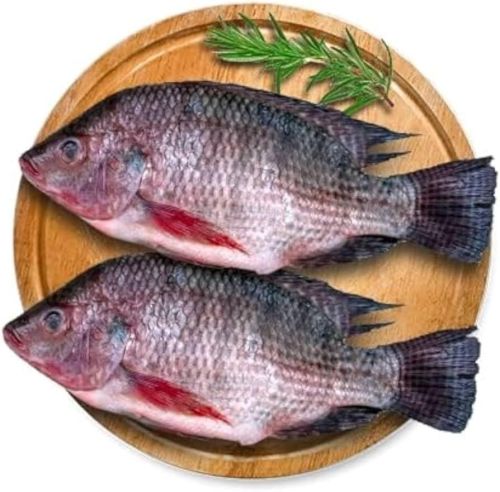 Fresh Fish
