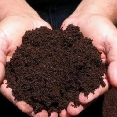 Organic Compost
