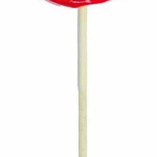 Strawberry Lollipop Candy