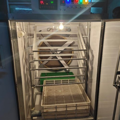 2000 Eggs Hatchery Machine