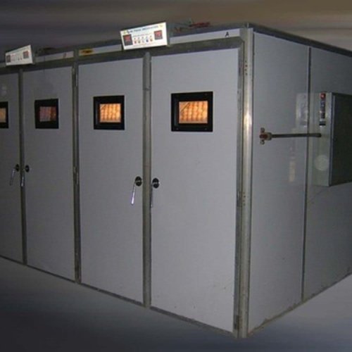 20000 Eggs Hatchery Machine