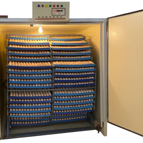 3000 Eggs Hatchery Machine