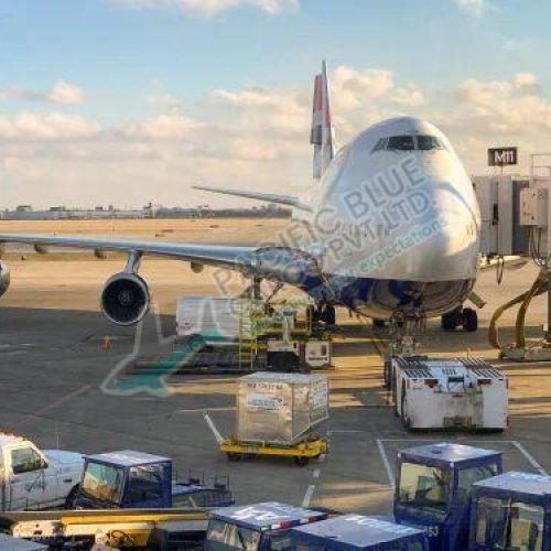 Domestic Air Freight Forwarding Service