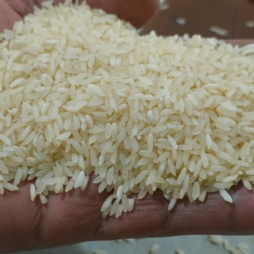 Sona Masoori Steam Rice