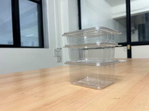 Plastic Hinged Container