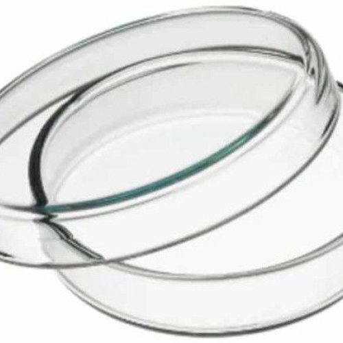90mm Petri Dish