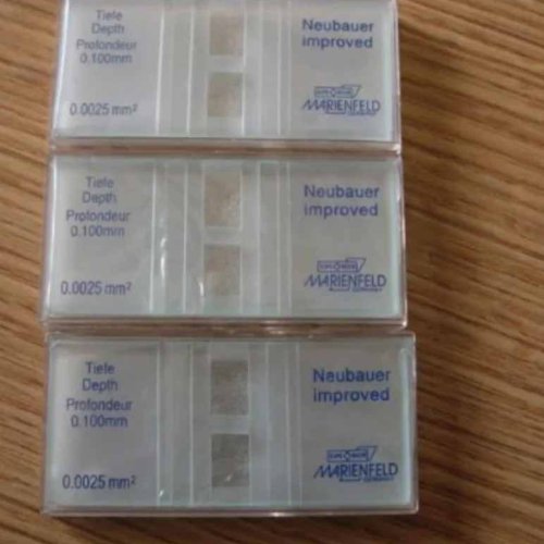 Improved Neubauer Counting Chamber