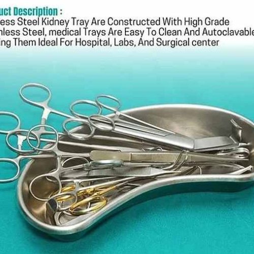 Stainless Steel 202 Kidney Tray