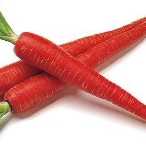 Fresh Red Carrot