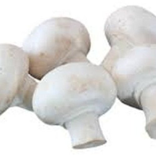 Daily Fresh Button Mushroom