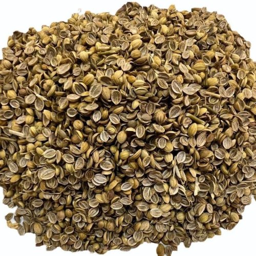 Clean Coriander Split Seeds Clean Coriander Split Seeds
