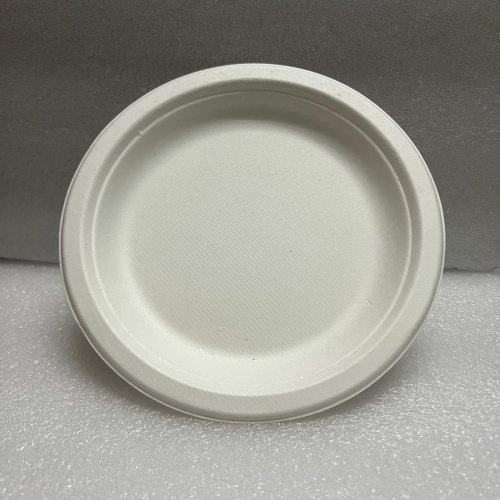 10 Inch Plain Sugarcane Bagasse Plates