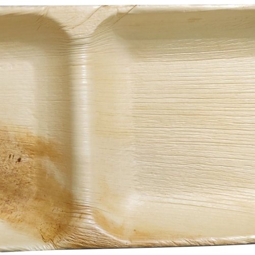 2 Compartment Rectangle Areca Leaf Plates