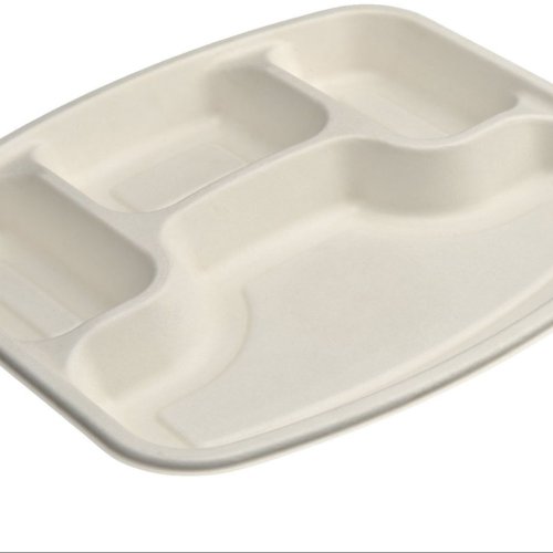4 CP Rectangle Sugarcane Bagasse Plate