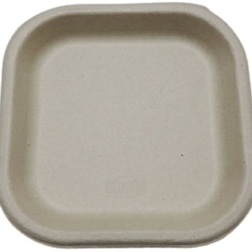 Square Sugarcane Bagasse Plates