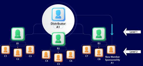 MLM Matrix Plan Website & App Development Service