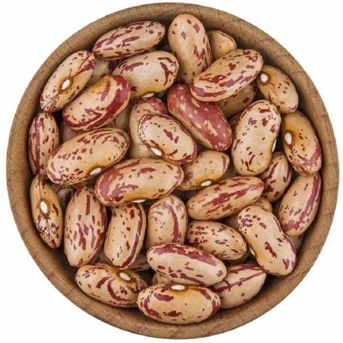 Chitra Kidney Bean