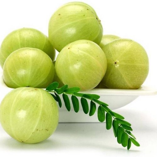 Fresh Green Amla