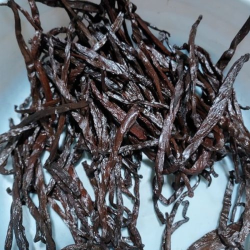 Indian Vanilla Beans