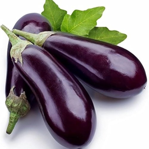 Fresh Brinjal