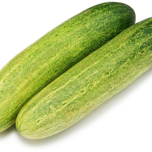 Fresh Cucumber,