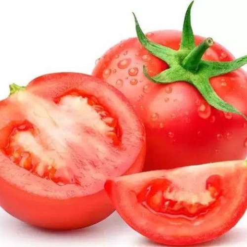 Fresh Tomato