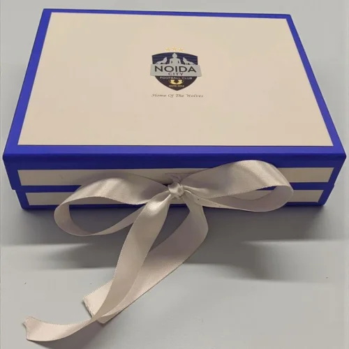 Plain Magnetic Box with Ribbon