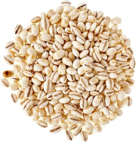 Barley Rice