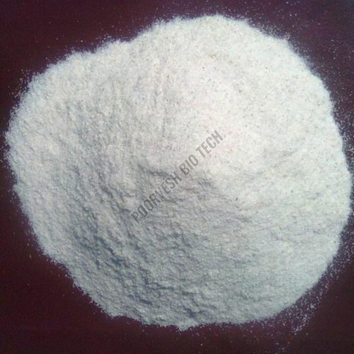 1500 GDU Bromelain Enzyme Powder