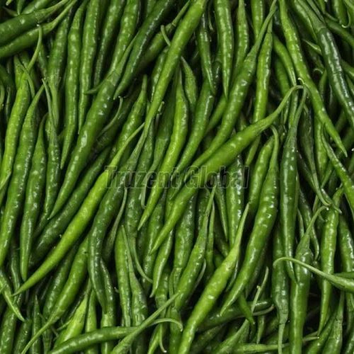 Fresh Green Chilli