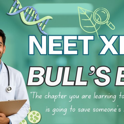 Bulls Eye for NEET UG Course Service