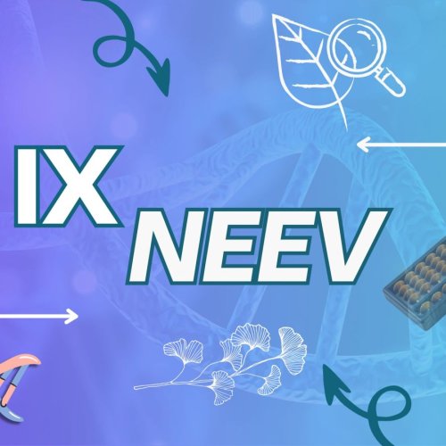 NEEV-IX Pre Foundation Course Service