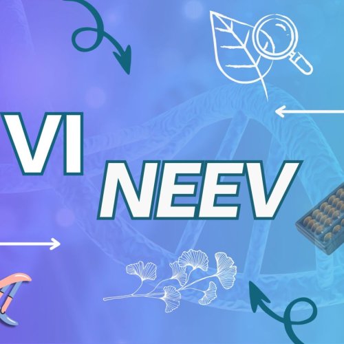 NEEV-VI Pre Foundation Course Service
